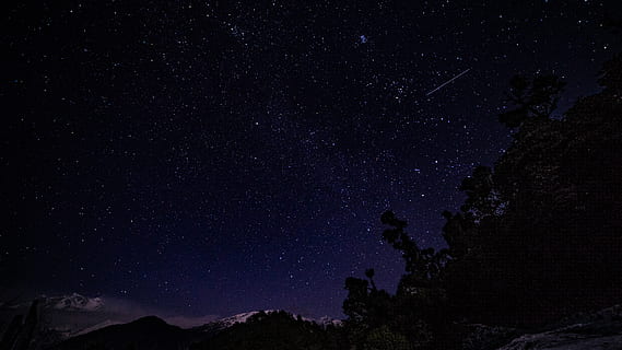 pohon daun, waktu malam, alam, di luar rumah, malam, ruang, langit berbintang, alam semesta, luar angkasa, astronomi, langit, himalayas, chaukhamba, fokus manual, sari, pohon, penuh bintang, bintang, fotografi malam, deoria, deoriatal, longexposure, bintang - ruang, keindahan di alam, scenics - alam, galaksi, tampilan sudut rendah, bidang bintang, ketenangan, adegan yang tenang, tidak ada orang, tak terbatas, menanam, bayangan hitam, konstelasi, Bima Sakti, ruang dan astronomi, 5K, CC0, domain publik, bebas royalti
