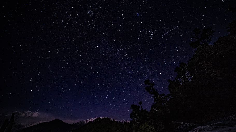 alberi di foglie, ore notturne, natura, all'aperto, notte, spazio, cielo stellato, universo, astronomia, cielo, Himalaya, Chaukhamba, manualfocus, sari, alberi, stellato, stelle, fotografia notturna, Deoria, deoriatal, longexposure, stella - spazio, bellezza nella natura, scenics - natura, stella, galassia, Inquadratura dal basso, campo stellare, la tranquillità, scena tranquilla, nessuno, albero, infinito, pianta, silhouette, costellazione, via Lattea, spazio e astronomia, 5K