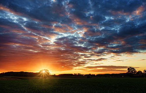 Silhouette, Bäume, golden, Stunde, hell, Wolken, Dämmerung, dramatisch, Abend, Feld, Gras, Wiese, Landschaft, Licht, Himmel, Sommer-, Sonne, Sonnenuntergang, wolke - himmel, Szenen - Natur, Umgebung, Schönheit in der Natur, Land, ländliche Szene, ruhige Szene, Natur, Landwirtschaft, orange Farbe, Pflanze, Ruhe, Bauernhof, Wachstum, Ernte, keine Leute, Gartenarbeit, 4K, CC0, gemeinfrei, lizenzfrei