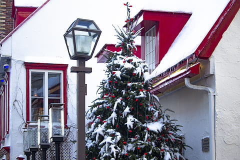 Canada, québec, buitenkant van het gebouw, boom, architectuur, Kerstmis, ingebouwde structuur, vakantie, decoratie, viering, kerstboom, fabriek, kerst decoratie, natuur, verlichtingsapparatuur, sneeuw, winter, gebouw, buitenshuis, geen mensen, rood, kerst versiering, licht, 5K, CC0, publiek domein, royaltyvrij