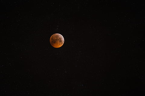 lua cheia, natureza, lua, ao ar livre, Eclipse lunar, eclipse, espaço, noite, universo, astronomia, espaço sideral, Alemanha, bochum, estrelas, astrografia, Nikon, lua do lobo, lunar, astrofotografia, lua de sangue, céu, beleza na natureza, scenics - natureza, tranquilidade, cena tranquila, idílico, estrela - espaço, ninguém, lua planetária, visão de baixo ângulo, superfície da lua, majestoso, fenómeno natural, astrologia, espaço e astronomia, 4K, CC0, domínio público, royalty free