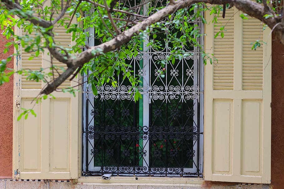 porta, casablanca, finestra, arbre, marroquí, tradicionalnel, disseny d'interiors, vell, tradicional, elegant, oldies, disseny, arquitectura, estil, maó, porta francesa, barana, jardí, arbor, planta, estructura construïda, exterior de l'edifici, edifici, entrada, tancat, creixement, dia, cap gent, casa, naturalesa, seguretat, a l'aire lliure, protecció, barri residencial, color verd, 5K