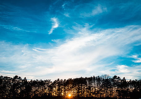 sininen, taivas, pilviä, auringonlasku, auringonpaiste, Puut, siluetti, varjot, luonto, ulkona, puu, pilvi - taivas, kauneus luonnossa, kasvi, maisemat - luonto, tyyneys, rauhallinen kohtaus, ei ihmisiä, kasvu, metsä, ei-kaupunkikuvia, matala kulma, maisema, auringonvalo, ympäristö, puunlatva, 5K, CC0, public domain, rojaltivapaa