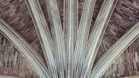 colonne, soffitto, volte, architettura, Cattedrale, pietra, nessuno, struttura costruita, modello, legno - materiale, in casa, avvicinamento, sfondi, tetto, fotogramma intero, giorno, Marrone, architrave, pianta, design, colonna architettonica, natura, metallo, foglia di palma, 4K, CC0, dominio pubblico, privo di copyright