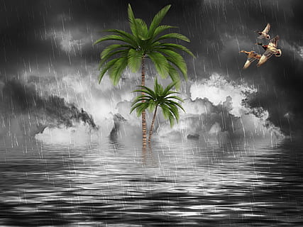 rain, cloudy, climate, river, fantasy, nature, water, cloud - sky, sky, palm tree, tree, plant, waterfront, beauty in nature, motion, one person, tropical climate, day, sea, wet, outdoors, real people, tranquility, digital composite, 4K, CC0, public domain, royalty free