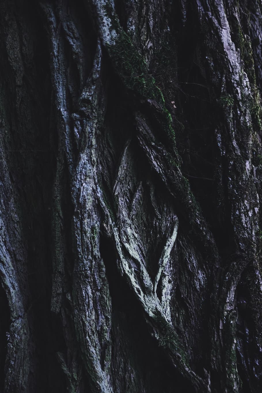 fotografia ravvicinata, verde, Marrone, tronco d'albero, avvicinamento, buio, natura, ruvido, solido, superficie, albero, corteccia di albero, legna, fotogramma intero, sfondi, strutturato, nessuno, modello, giorno, tronco, roccia, all'aperto, formazione rocciosa, roccia - oggetto, bellezza nella natura, radice, terra, 5K