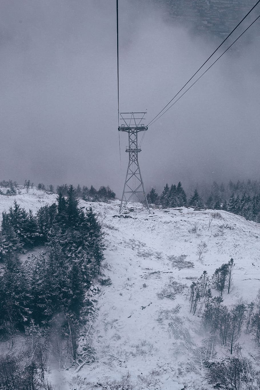 snedækkede træer, plante, træ, norge, abies, gran, kabel, udendørs, bergen, elledninger, sne, elektrisk transmission tårn, landskab, vinter, natur, nåletræ, kold, hd tapet, korn, tapet, landskaber, kold temperatur, teknologi, himmel, elektricitet, forbindelse, skønhed i naturen, brændstof og elproduktion, jord, dag, ingen mennesker, el-pylon, miljø, Strømforsyning, snedækket bjerg, magt i naturen, sner, 5K