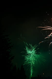 zelený ohňostroj, Příroda, venku, noc, ohňostroj, riederich, Německo, zelená, noční život, festival, dav, aurora, kouř, světlo, světlice, horizont, nebe, vzor, fraktální, ornament, svítí, umělecká kultura a zábava, pohyb, oslava, dlouhé expozice, nízký úhel pohledu, řeřavý, vybuchující, nikdo, rozmazaný pohyb, událost, kopie prostor, ohňostroj - člověk dělal objekt, strom, jiskry, vzrušení, 5K, CC0, veřejná doména, bez autorských práv