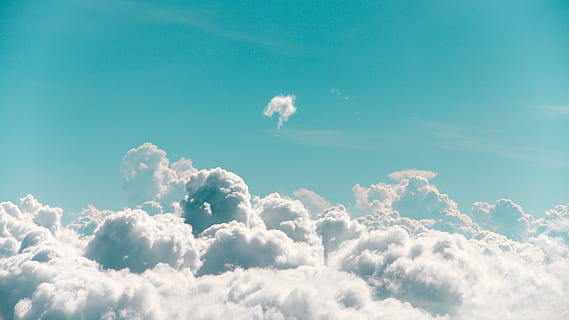 fotografia di nuvole bianche, nube, cielo, cumulo, luce del sole, gonfio, luminosa, natura, blu, alzavola, sfondo, cumulu, aria, tempo metereologico, sfondi, Paradiso, giorno, spazio, estate, nuvola - cielo, all'aperto, bianca, soffice, stratosfera, Paesaggi, Cloudscape, clima, sole, luce - fenomeno naturale, strato di ozono, bellezza nella natura, in alto, cielo sereno, soleggiato, meteorologia, nessuno, astratto, stagione, idilliaco, fondale, 5K, CC0, dominio pubblico, privo di copyright
