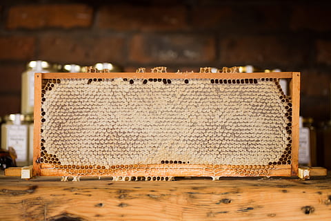 Langstroth Hive Board, Großbritannien, Knutsford, Honig, Wabe, Biene, Bienenhaltung, Honig Teller, Bokeh, Konsole, Elektronik, Bienen, Holz - Material, drinnen, Antiquität, keine Leute, kopieren sie platz, Muster, leer, einzelnes Objekt, Technologie, rustikal, Holz, Tabelle, obsolet, braun, Kunst und Handwerk, Bodenbelag, alt, texturiert, Kommunikation, Struktureffekt, 5K, CC0, gemeinfrei, lizenzfrei