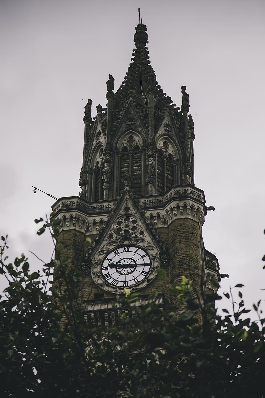 edifici, arquitectura, torre, Torre del Rellotge, rellotge, al matí, canviant d'humor, goth, art gòtic, dissabte, art deco, fosc, big ben, fulles, trist, tumblr, monsó, fletxa, campanar, metròpolis, vista d’angle baix, estructura construïda, cel, exterior de l'edifici, religió, planta, naturalesa, creença, lloc de culte, cap gent, temps, espiritualitat, arbre, destinacions de viatge, a l'aire lliure, estil gòtic, 5K