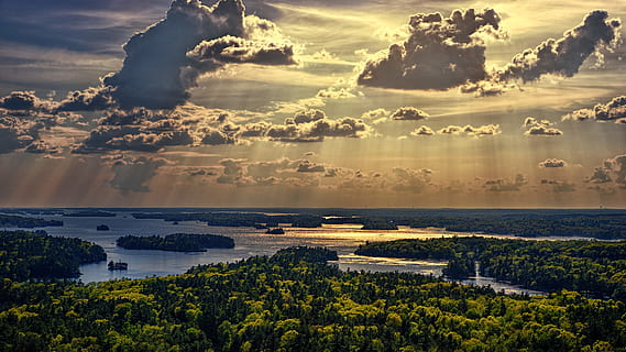 antenne, Foto, Skov, ved siden af, legeme, vand, skyer, daggry, himmel, solopgang, solnedgang, træer, sky - himmel, skønhed i naturen, scenics - natur, landskab, ro, miljø, natur, rolig scene, plante, hav, dramatisk himmel, sol, træ, ingen mennesker, sollys, udendørs, horisont over vand, 5K, CC0, offentligt domæne, royaltyfrie