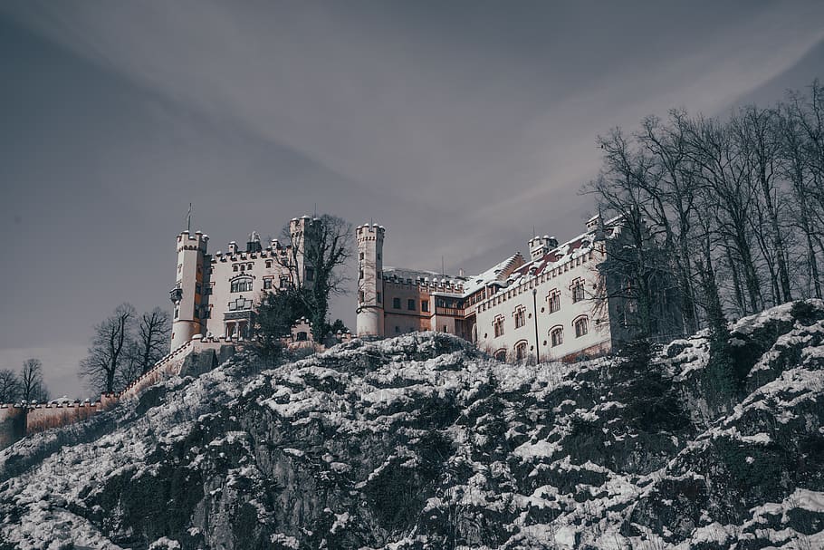 vista, blanc, castell, antic, arquitectura, arbre nu, edifici, ciutat, fred, exterior, façana, congelat, Alemanya, històric, casa, gel, paisatge, tir en angle baix, muntanya, munich, a l'aire lliure, escènic, neu, nevat, turisme, viatjar, arbres, hivern, estructura construïda, arbre, exterior de l'edifici, cel, naturalesa, temperatura de fred, planta, cap gent, dia, vista d’angle baix, barri residencial, núvol - cel, muntanya nevada, 4K