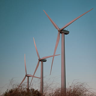 tres molins de vent grisos, turbina, màquina, motor, aerogenerador, mojave, instal·lació eòlica de tehachapi, Estats Units, molí de vent, arbre, electricitat, verd, ombra, llum solar, cel, energia, tecnologia, naturalesa, bosc, generació de combustible i energia, conservació del medi ambient, energia renovable, energia alternativa, energia eòlica, medi ambient, cel clar, cap gent, blau, vista d’angle baix, paisatge, dia, camp, terra, a l'aire lliure, recursos sostenibles, Font d'alimentació, 2K, CC0, domini públic, lliure de regalies