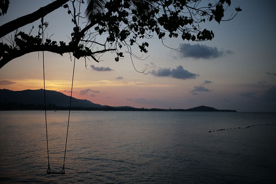 Tailàndia, ko samui, cel, aigua, escena tranquil·la, bellesa a la natura, tranquil·litat, escenics - natura, posta de sol, núvol - cel, arbre, silueta, naturalesa, mar, davant del mar, cap gent, idíl·lic, planta, muntanya, escena no urbana, color taronja, a l'aire lliure, 1080P