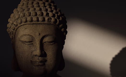 statua della testa di buddha, arte e artigianato, rappresentazione umana, statua, religione, scultura, spiritualità, rappresentazione, credenza, creatività, avvicinamento, mestiere, somiglianza maschile, nessuno, in casa, architettura, storia, il passato, antico, idolo, 5K, CC0, dominio pubblico, privo di copyright
