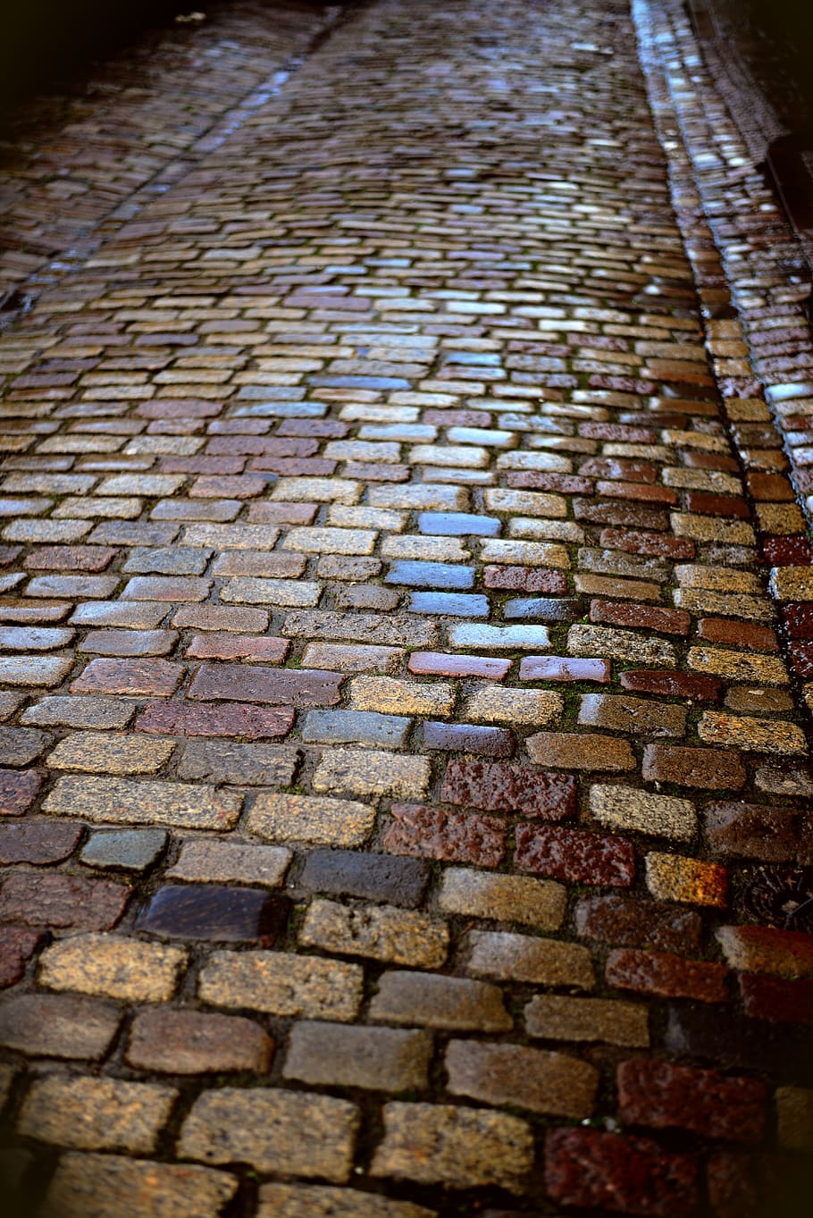Patch, Straße, nass, Boden, Weg, Muster, Kopfsteinpflaster, Pflastersteine, Textur, Innenstadt, Gasse, Fußweg, Vollbild, keine Leute, Hintergründe, Stein, texturiert, Pflasterstein, Tag, draußen, High Angle View, selektiver Fokus, Stadt, Oberflächenniveau, Nahansicht, die Architektur, Backstein, Bürgersteig, 5K