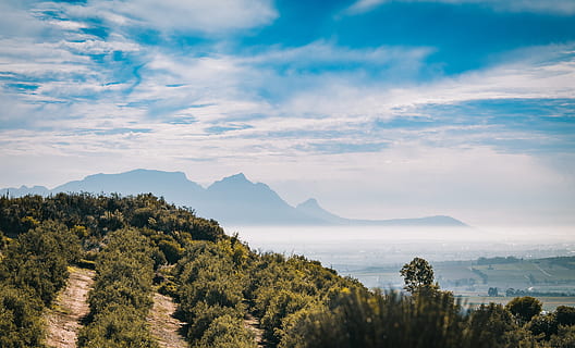 zelené listy, Příroda, hora, venku, pohoří, počasí, rostlina, strom, mys město, stellenbosch, skryté údolí vinařství, Jižní Afrika, krajina, abies, jedle, přistát, venkov, scenérie, vegetace, nebe, kupa, mrak, krása v přírodě, scenics - příroda, mrak - nebe, klid, klidné scény, voda, růst, nikdo, mimoměstské scény, moře, idylický, den, zelená barva, životní prostředí, horský vrchol, 4K, CC0, veřejná doména, bez autorských práv