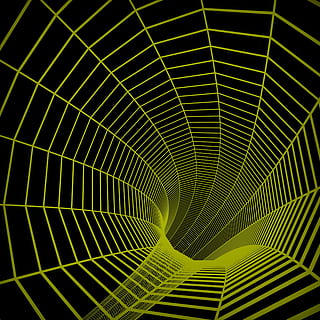 web baggrund, viser, kulisse, søger, baggrunde, abstrakt, kunstværk, baggrund, dekoration, dekorative, design, internet, net, netværk, online, mønster, mønstrede, mønstre, Print, skabelon, struktur, web, internet side, hjemmesider, internettet, www, grøn farve, blad, fuld ramme, ingen mennesker, plante del, skønhed i naturen, natur, naturligt mønster, plante, vækst, tæt på, dag, tekstureret, udendørs, lav vinkel visning, bladvenen, kompleksitet, koncentriske, sort baggrund, palmblad, 1080P, CC0, offentligt domæne, royaltyfrie