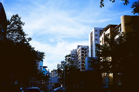 albero, architettura, cielo, tramonto, orizzonte, notte, luce del sole, mattina, città, grattacielo, paesaggio urbano, centro, crepuscolo, sera, riflessione, palazzone, metropoli, Quartiere, zona urbana, Zona residenziale, insediamento umano, area metropolitana, esterno dell'edificio, struttura costruita, costruzione, natura, quartiere residenziale, pianta, nuvola - cielo, nessuno, giorno, strada, blu, all'aperto, via della città, mezzi di trasporto, vita di città, edificio per uffici esterno, appartamento, 2K, CC0, dominio pubblico, privo di copyright
