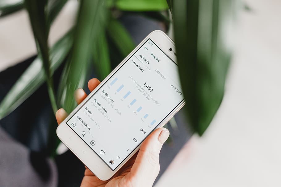 Person, mit, Android-Smartphone, menschliche Hand, Hand, halten, menschliches Körperteil, eine Person, Kommunikation, Nahansicht, Pflanze, kabellose Technologie, grüne Farbe, Technologie, Mobiltelefon, Smartphone, Tag, Fokus auf den Vordergrund, draußen, Natur, Lebensstile, Text, Finger, 5K