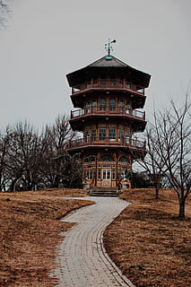 Marrone, tempio, circondato, alberi senza foglie, culto, pagoda, santuario, costruzione, architettura, guglia, Torre, campanile, terra, urbano, città, cittadina, pietra da lastrico, strada, pneumatico, castello, edificio per uffici, pilastro, colonna, struttura costruita, cielo, esterno dell'edificio, albero nudo, direzione, la strada davanti, cielo sereno, natura, albero, nessuno, religione, luogo di culto, giorno, credenza, spiritualità, pianta, all'aperto, destinazioni di viaggio, 4K, CC0, dominio pubblico, privo di copyright