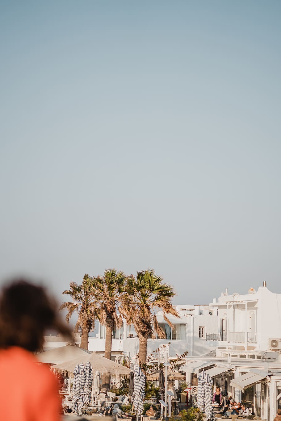 tre, palme, giorno, architettura, Palma, colonna, Partenone, tempio, pilastro, santuario, culto, costruzione, vacanza, edificio bianco, Grecia, viaggio, in viaggio, Esplorare, cultura, guardando fuori, verde, estate, esterno dell'edificio, cielo, copia spazio, albero, struttura costruita, natura, cielo sereno, città, clima tropicale, pianta, donne, persone reali, persone, persone accessorie, retrovisore, all'aperto, 5K