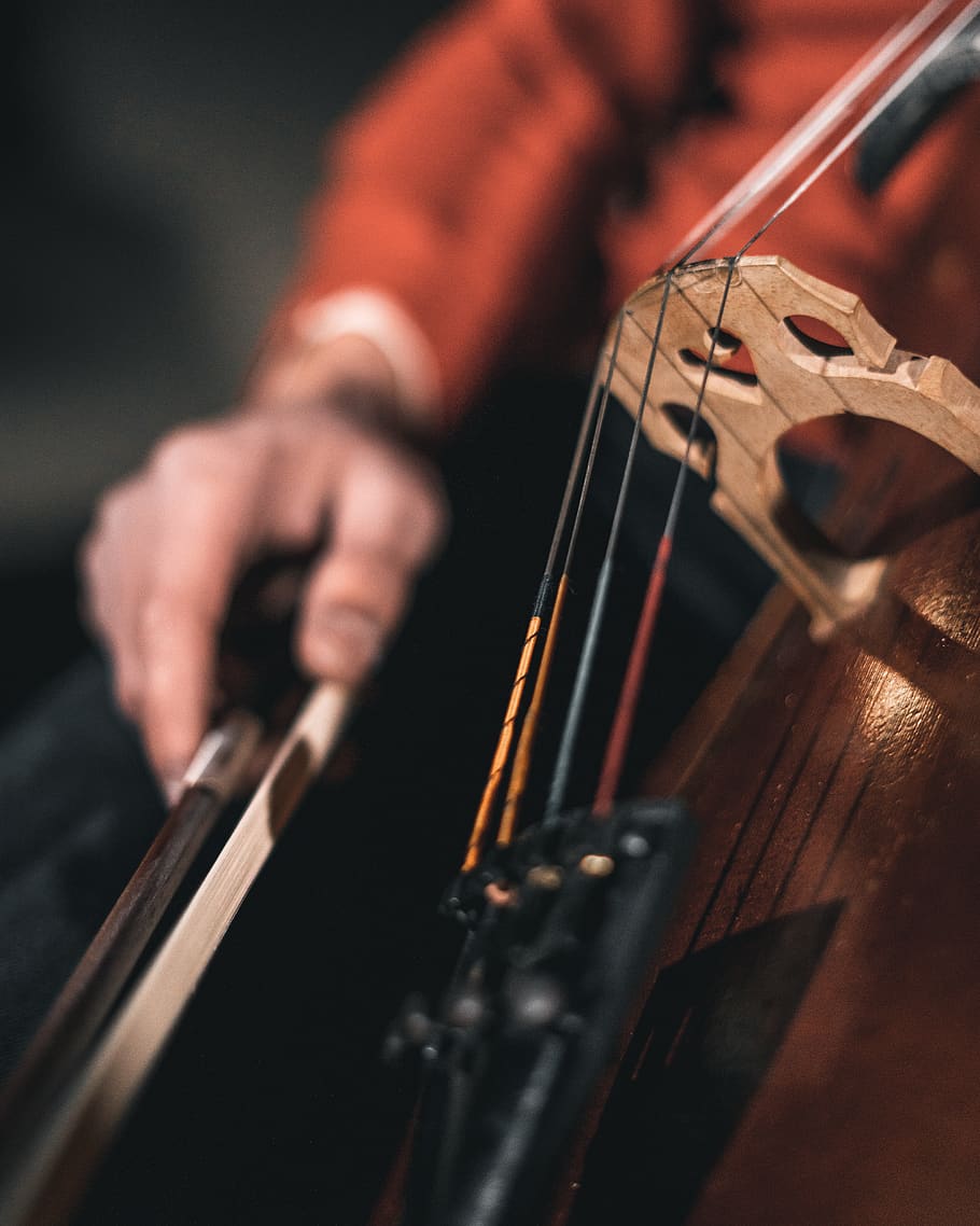 persona, jugant, corda, instrument, acústic, instrument de corda inclinat, violoncel, clàssic, música clàssica, primer pla, concert, contrabass, jazz, música, instrument musical, músic, orquestra, rendiment, intèrpret, habilitat, so, instrument de corda, cultura i entreteniment artístic, una persona, artista, equipament musical, enfocament selectiu, mà humana, mà, a l'interior, part del cos humà, cadena, ocupació, arc - equipament musical, ocupació d’animació, etapa, 4K