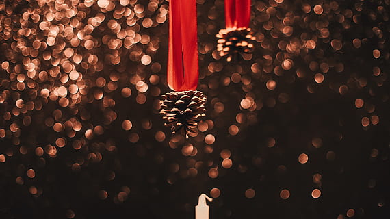 rudos pušies spurgai, Ugnis, liepsna, apšvietimas, žvakė, medis, augalų, diwali, ornamentas, gyvūnas, kolibri, paukštis, lentyna, menas, festivalis, minios, pobūdį, fejerverkai, naktis, lauke, skraidantis, nėra žmonių, apdaila, didelė objektų grupė, Kalėdų papuošimas, Iš arti, Kalėdos, patalpose, mediena - medžiaga, šventė, apšvietimo įranga, šviečia, figūra, gausa, visą kadrą, modelį, Kalėdų ornamentas, 5K, CC0, Viešasis domenas, nemokamai