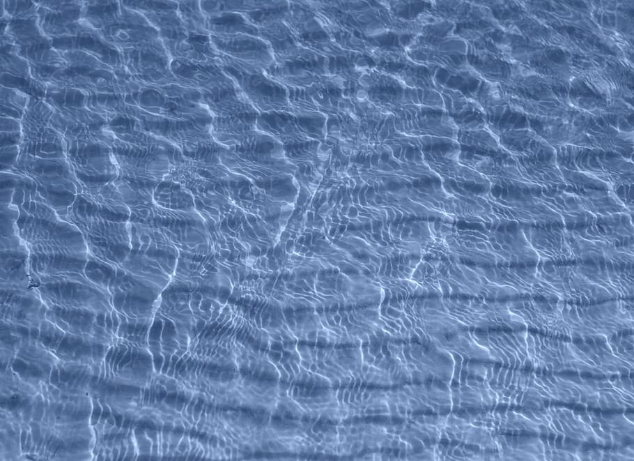 fons, blau, netejar, clar, primer pla, fred, guai, beure, degoteig, tirar, gota, , fresc, líquid, patró, piscina, aboqui, pur, mar, estiu, textura, transparent, rentar, wate, marc complet, aigua, ondulat, cap gent, naturalesa, animal, patró natural, temes d'animals, sota l'aigua, moviment, nedar, resum, fauna animal, vertebrats, fons abstractes, marí, 720P
