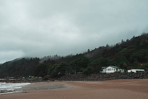 kust overdag, natuur, helling, kustlijn, water, zee, oceaan, buitenshuis, land-, kust, boom, fabriek, strand, voorgebergte, vegetatie, bodem, weg, abies, Spar, nieuw Zeeland, nz, hemel, wolk - lucht, architectuur, ingebouwde structuur, berg-, schoonheid in de natuur, dag, scenics - natuur, geen mensen, buitenkant van het gebouw, rustige scène, kalmte, 5K, CC0, publiek domein, royaltyvrij