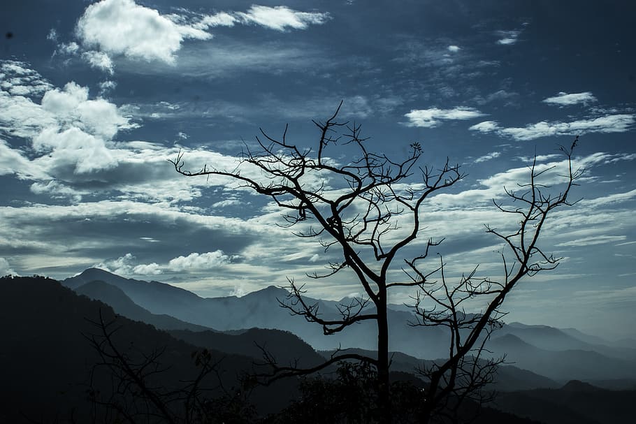 nua, arbre, silueta de muntanya, durant el dia, núvols, ennuvolat, muntanyes, naturalesa, cel, núvol - cel, bellesa a la natura, escenics - natura, muntanya, tranquil·litat, escena tranquil·la, silueta, planta, cap gent, Serra, escena no urbana, arbre nu, a l'aire lliure, dia, medi ambient, idíl·lic, paisatge, 5K