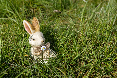 Hase, Osterhase, Ostern, Zahl, Tonfigur, klingen, Gras, Wiese, eilen, Karte, osterkarte, Pflanze, grüne Farbe, Tier, Kaninchen - Tier, keine Leute, Feld, Natur, Land, Säugetier, Feier, Tierthemen, Lebensmittel, Osterei, High Angle View, Tag, Urlaub, 5K, CC0, gemeinfrei, lizenzfrei