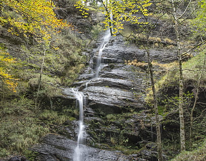cascada, arbres, faigs, arbre, bosc, terra, escenics - natura, planta, bellesa a la natura, moviment, exposició llarga, aigua que flueix, escena no urbana, naturalesa, rock, moviment borrós, rock - object, cap gent, creixement, aigua, sòlid, que flueix, a l'aire lliure, poder a la natura, rierol: aigua que flueix, selva tropical, caient aigua, 4K, CC0, domini públic, lliure de regalies
