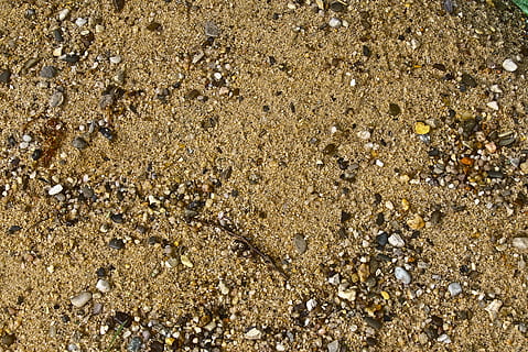 sabbia, ciottolo, aggregato, modello, struttura, astratto, sfondo, terra, natura, piccola pietra, erosione, superficie, pietra naturale, materiale naturale, fotogramma intero, spiaggia, giorno, nessuno, vista dall'alto, sfondi, strutturato, solido, luce del sole, bellezza nella natura, roccia, all'aperto, conchiglia, mare, la tranquillità, animale, acqua, 5K, CC0, dominio pubblico, privo di copyright