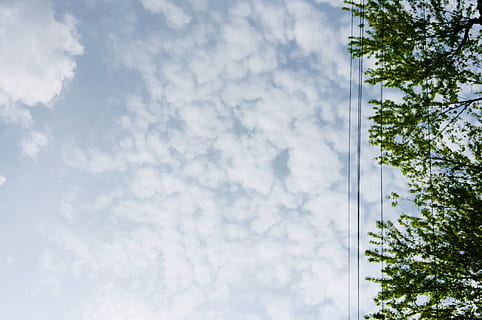 céu, azul, nuvens, árvore, linhas de energia, linear, linhas, verão, Primavera, arvores, verde, natureza, ao ar livre, nuvem - céu, visão de baixo ângulo, ninguém, dia, plantar, janela, arquitetura, estrutura construída, vidro - material, copie o espaço, reflexão, exterior do edifício, beleza na natureza, cor branca, recurso de construção de parede, limpar \ limpo, em branco, 2K, CC0, domínio público, royalty free