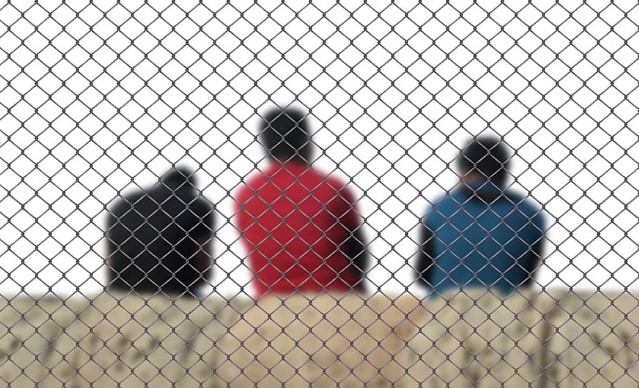 tanca, homes, refugiat, integració, deportació, estada, estoc, campament, asil, política, dia, centrar-se en primer pla, cap gent, límit, a l'aire lliure, tanca d'enllaç de cadena, barrera, naturalesa, esport, vista d’angle alt, patró, vermell, primer pla, vista del darrere, seguretat, terra, 4K