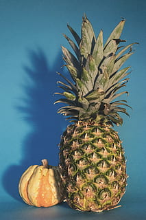 pinya, carbassa, squash de dumpling, Carabasseta, fruita, menjar, saludable, produir, natura morta, fruita tropical, menjar i beguda, alimentació saludable, frescor, benestar, cap gent, primer pla, a l'interior, fons de colors, blau, fons blau, tir de l'estudi, taula, centrar-se en primer pla, naturalesa, color verd, madur, 5K, CC0, domini públic, lliure de regalies