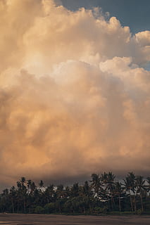 bewölkter Himmel, Wolken, wolkig, Dämmerung, Himmel, wolke - himmel, Baum, Pflanze, Schönheit in der Natur, Szenen - Natur, ruhige Szene, Ruhe, keine Leute, Natur, Umgebung, Sonnenuntergang, Land, Landschaft, Feld, Nicht-städtische Szene, Wachstum, draußen, Palme, 5K, CC0, gemeinfrei, lizenzfrei