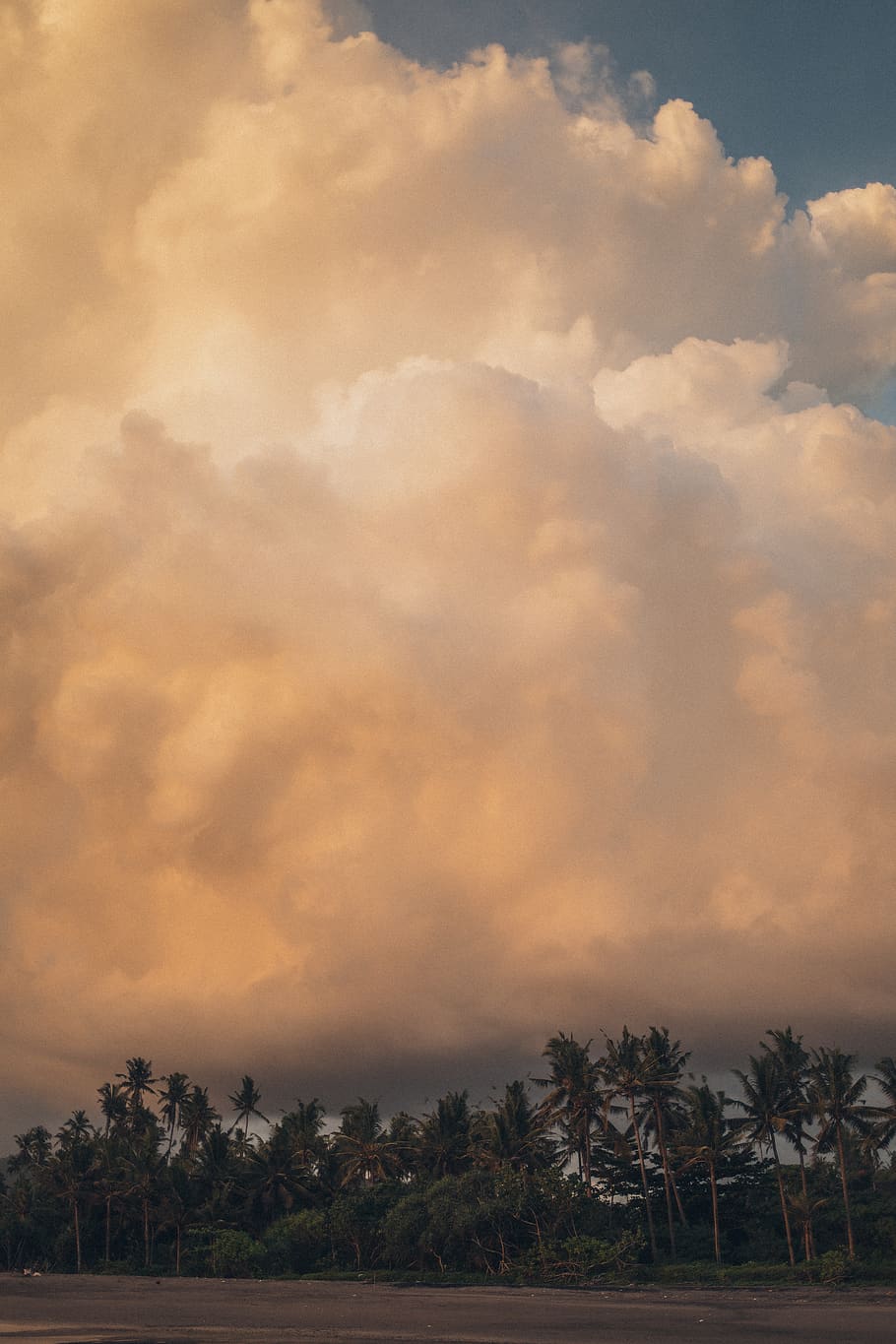 bewölkter Himmel, Wolken, wolkig, Dämmerung, Himmel, wolke - himmel, Baum, Pflanze, Schönheit in der Natur, Szenen - Natur, ruhige Szene, Ruhe, keine Leute, Natur, Umgebung, Sonnenuntergang, Land, Landschaft, Feld, Nicht-städtische Szene, Wachstum, draußen, Palme, 5K