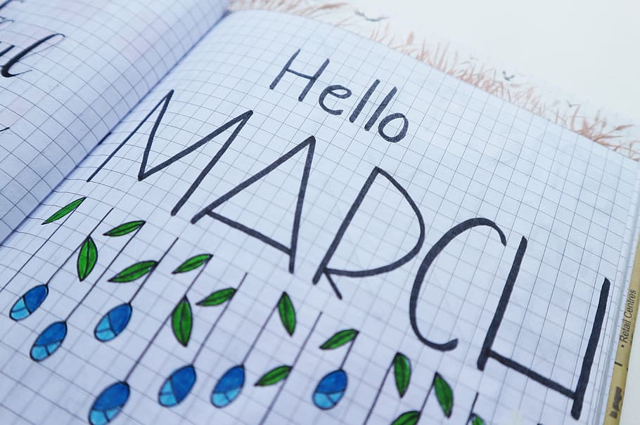 Hola, marxa, imprès, paper, blanc, superfície, quadrícula, nota, quadern, diagrama, negocis, comunicació, dades, cap gent, gràfic, primer pla, Finances, a l'interior, planificació, document, nombre, text, negoci corporatiu, tir de l'estudi, enfocament selectiu, educació, 4K