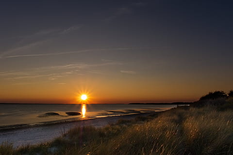 sunset, sky, night, clouds, twilight, evening, mood, sea, reed, beach, north sea, water, scenics - nature, beauty in nature, tranquility, tranquil scene, land, nature, sun, horizon, no people, horizon over water, idyllic, non-urban scene, grass, orange color, outdoors, marram grass, 4K, CC0, public domain, royalty free