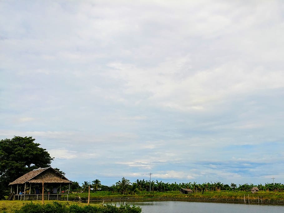 Filipines, bacolod, núvol - cel, cel, estructura construïda, planta, arbre, arquitectura, casa, edifici, escenics - natura, naturalesa, exterior de l'edifici, bellesa a la natura, cap gent, paisatge, tranquil·litat, dia, medi ambient, escena tranquil·la, creixement, aigua, a l'aire lliure, 2K
