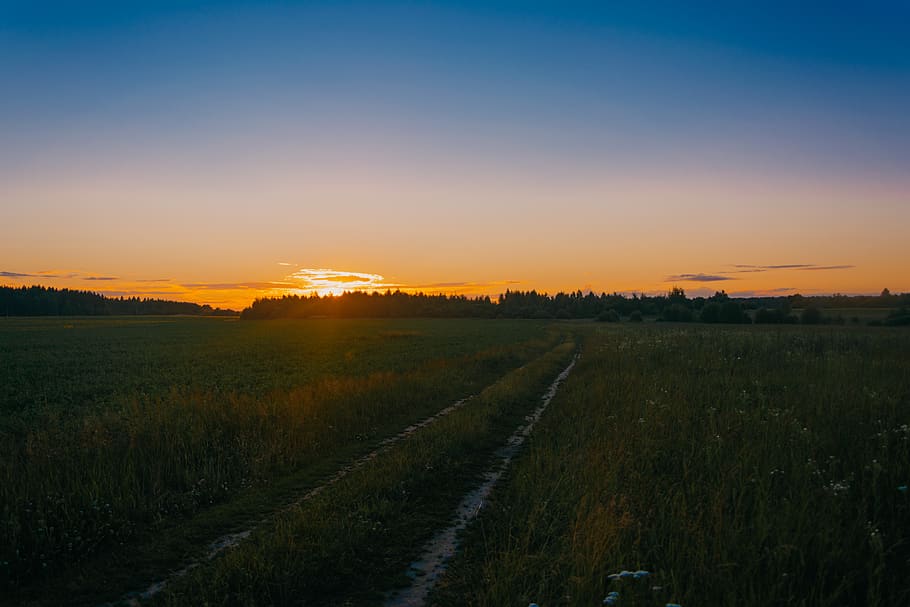 Foto, grøn, græsfelt, gylden, timer, daggry, miljø, Mark, Skov, græs, hd wallpapers, idyllisk, landskab, Moder Natur, natur, naturskøn, himmel, sol, solopgang, solnedgang, rolig, træer, scenics - natur, rolig scene, ro, skønhed i naturen, jord, ingen mennesker, plante, landlige scene, landbrug, retning, vejen frem, orange farve, vej, udendørs, faldende perspektiv, 5K