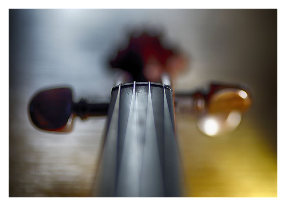 brunt snorinstrument, overfør print, automatisk postproduktionsfilter, enkelt objekt, ingen mennesker, tæt på, selektiv fokusering, indendørs, bord, stilleben, fokus på forgrunden, briller, studio skud, enkelhed, metal, træ - materiale, digital komposit, rød, sløret, 5K