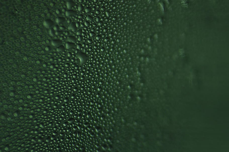 verde umed, verde, textură, picăturii, peşte, animal, suprafaţă, frunze, plantă, întuneric, a închide, umed, ploaie, natură, ceramică, artă, grafică, model, ornament, fractal, mușchi, apă, cădere brusca, fundaluri, nici o persoana, cadru complet, Culoarea verde, în interior, selectiv, prospeţime, condensare, extreme close-up, texturată, puritate, picătură de ploaie, 4K