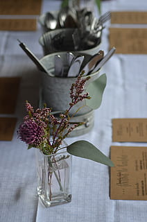 decor, punerea mesei, floare, planta cu flori, plantă, vază, în interior, nici o persoana, masa, a închide, frumusețe în natură, natură, prospeţime, recipient, fragilitate, să se concentreze asupra primelor elemente, vulnerabilitate, sticlă - material, transparent, aranjament floral, publicare, cap de floare, buchet, 4K, CC0, domeniu public, fără drepturi de autor