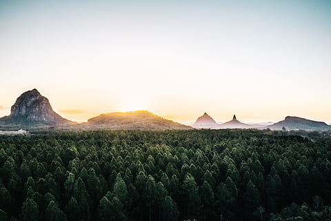 campo, alberi dalle foglie verdi, Mountian, foresta, albero, tramonto, Alba, verde, giallo, arancia, Queensland, carta da parati hd, montagna, natura, sfondo, Australia, costa del sole, montagna di vetro, paesaggio, all'aperto, collina, alba - alba, Paesaggi, viaggio, estate, cielo, posto famoso, vulcano, turismo, Asia, scena rurale, bellezza nella natura, picco di montagna, mattina, geologia, roccia - oggetto, blu, sfondi, luce del sole, agricoltura, pianta, 4K, CC0, dominio pubblico, privo di copyright