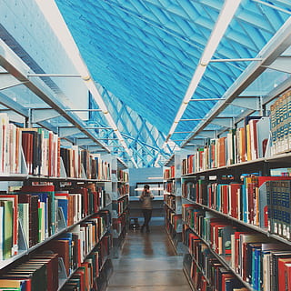 library, books, knowledge, study, paper, shelf, book, publication, one person, bookshelf, education, learning, indoors, real people, large group of objects, day, adult, leisure activity, full length, lifestyles, abundance, young adult, order, studying, ceiling, 2K, CC0, public domain, royalty free