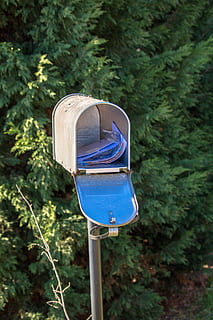 Briefkasten, Post, Metall, Postfächer, mail, Zeitung, Briefträger, Pflanze, Tag, Fokus auf den Vordergrund, Natur, keine Leute, Blau, Korrespondenz, Land, Wachstum, draußen, öffentliches Postfach, Baum, Kommunikation, Brief, Feld, Nahansicht, Holz - Material, lila, 5K, CC0, gemeinfrei, lizenzfrei